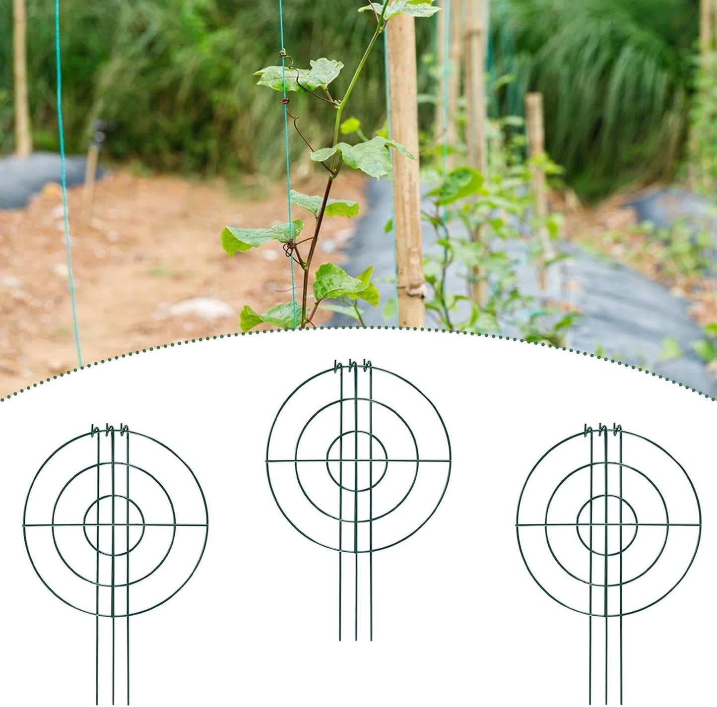 3X Peony Support Cages Plant Support Rings Elegant Metal Frame Sturdy Climbing Trellis Grow Through Hoops for Courtyard Rose, Grid