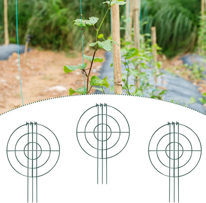 3X Peony Support Cages Plant Support Rings Elegant Metal Frame Sturdy Climbing Trellis Grow Through Hoops for Courtyard Rose, Grid