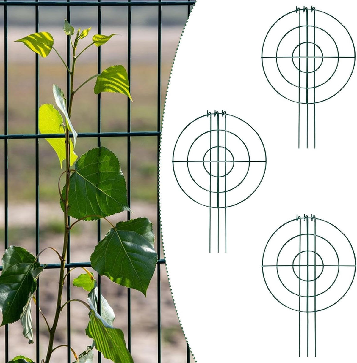 3X Peony Support Cages Plant Support Rings Elegant Metal Frame Sturdy Climbing Trellis Grow Through Hoops for Courtyard Rose, Grid