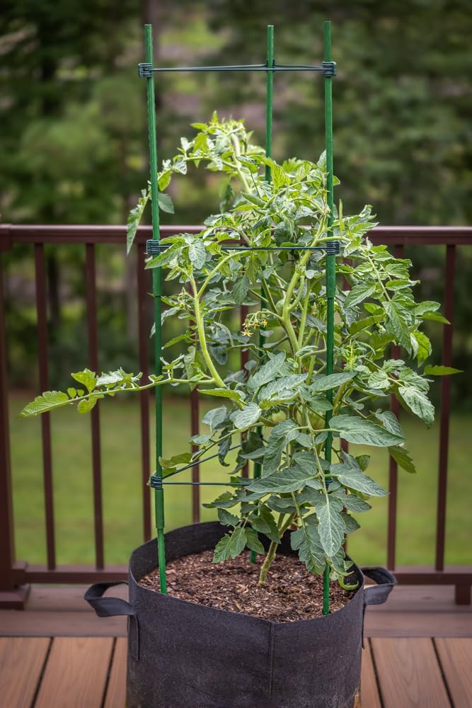 3-Pack Tomato Cage, Plants Support, Trellis Climbing Triangular Cage, Stand for Pepper Eggplant Tomato Flowers