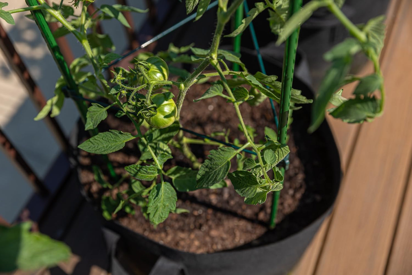 3-Pack Tomato Cage, Plants Support, Trellis Climbing Triangular Cage, Stand for Pepper Eggplant Tomato Flowers