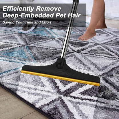Carpet Rake for Pet Hair Removal, Reusable Carpet Scraper Broom
