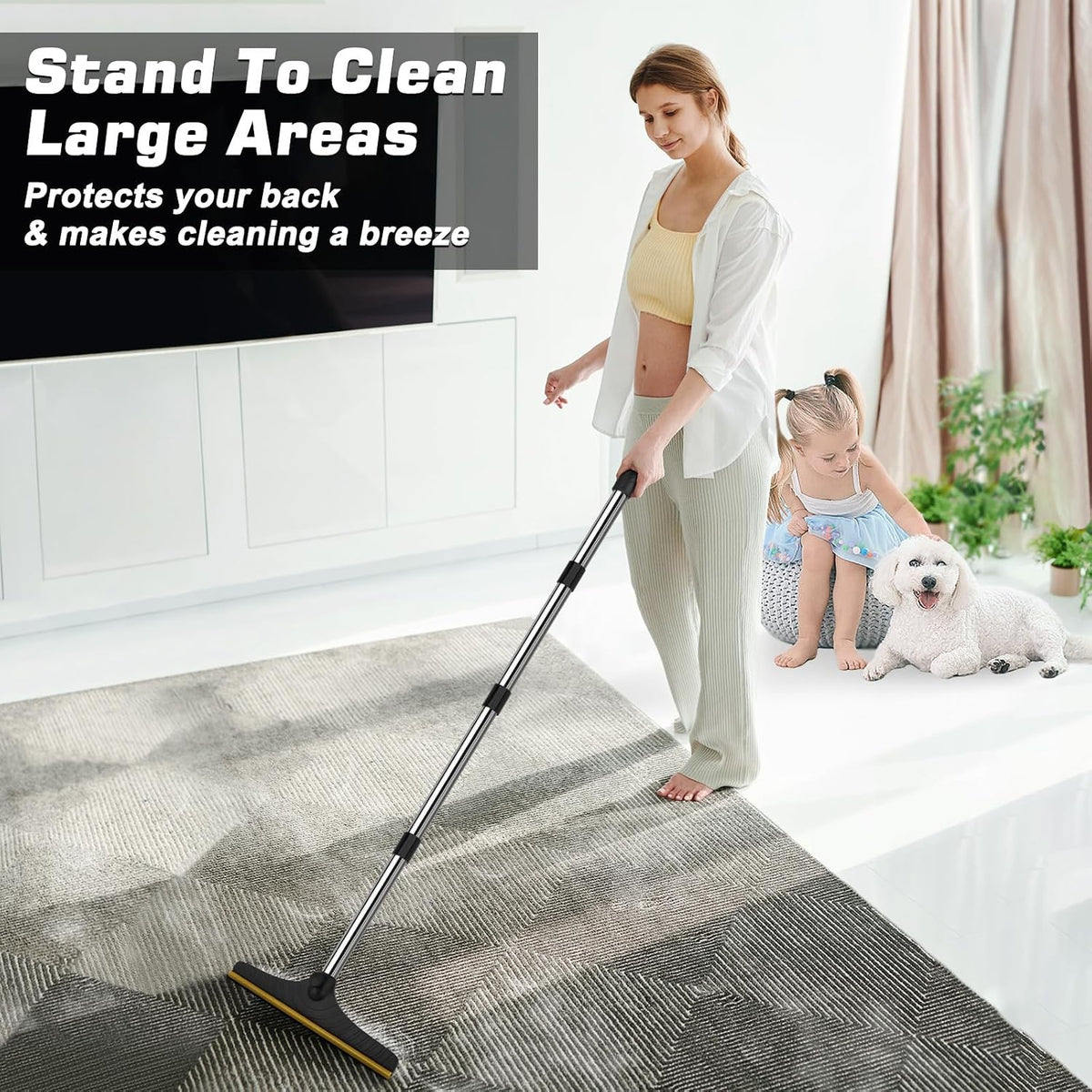 Carpet Rake for Pet Hair Removal, Reusable Carpet Scraper Broom