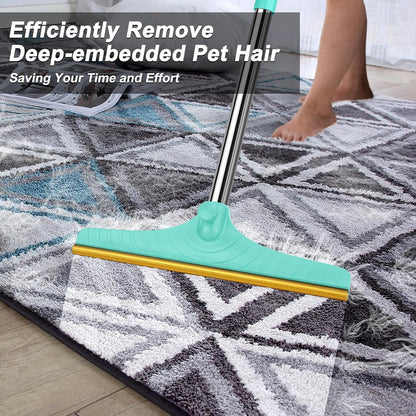 Carpet Rake for Pet Hair Removal, Reusable Carpet Scraper Broom