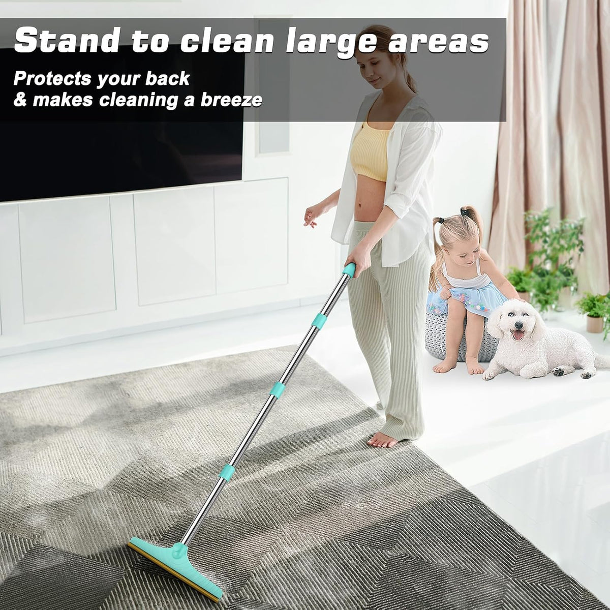 Carpet Rake for Pet Hair Removal, Reusable Carpet Scraper Broom
