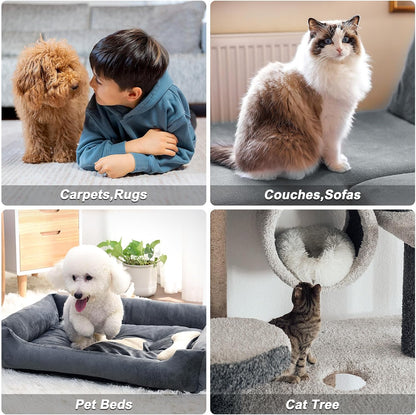 Carpet Rake for Pet Hair Removal, Reusable Carpet Scraper Broom