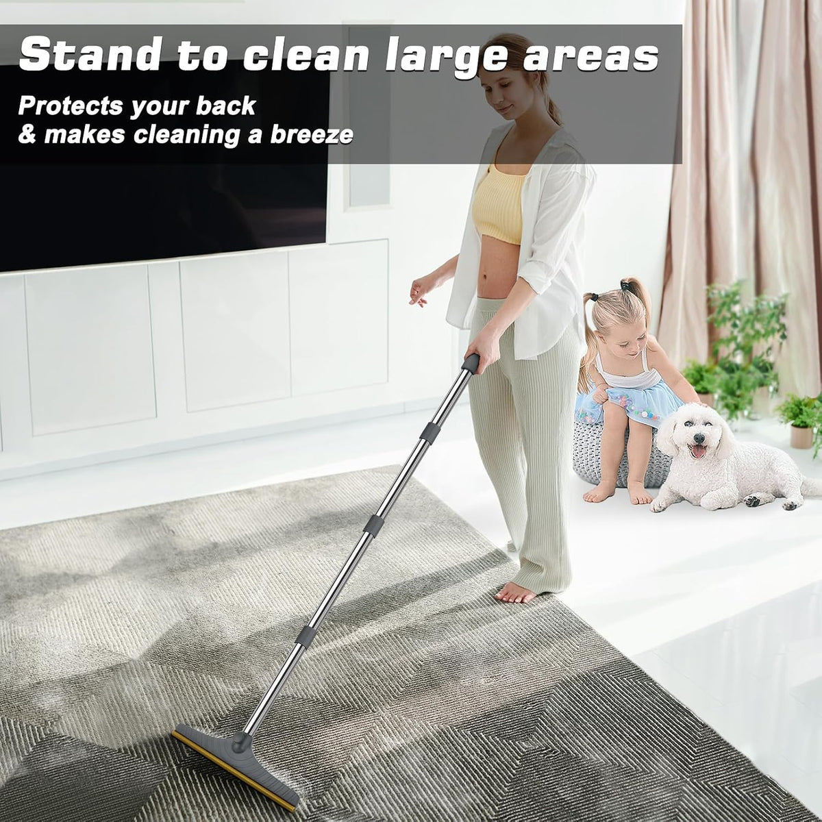 Carpet Rake for Pet Hair Removal, Reusable Carpet Scraper Broom