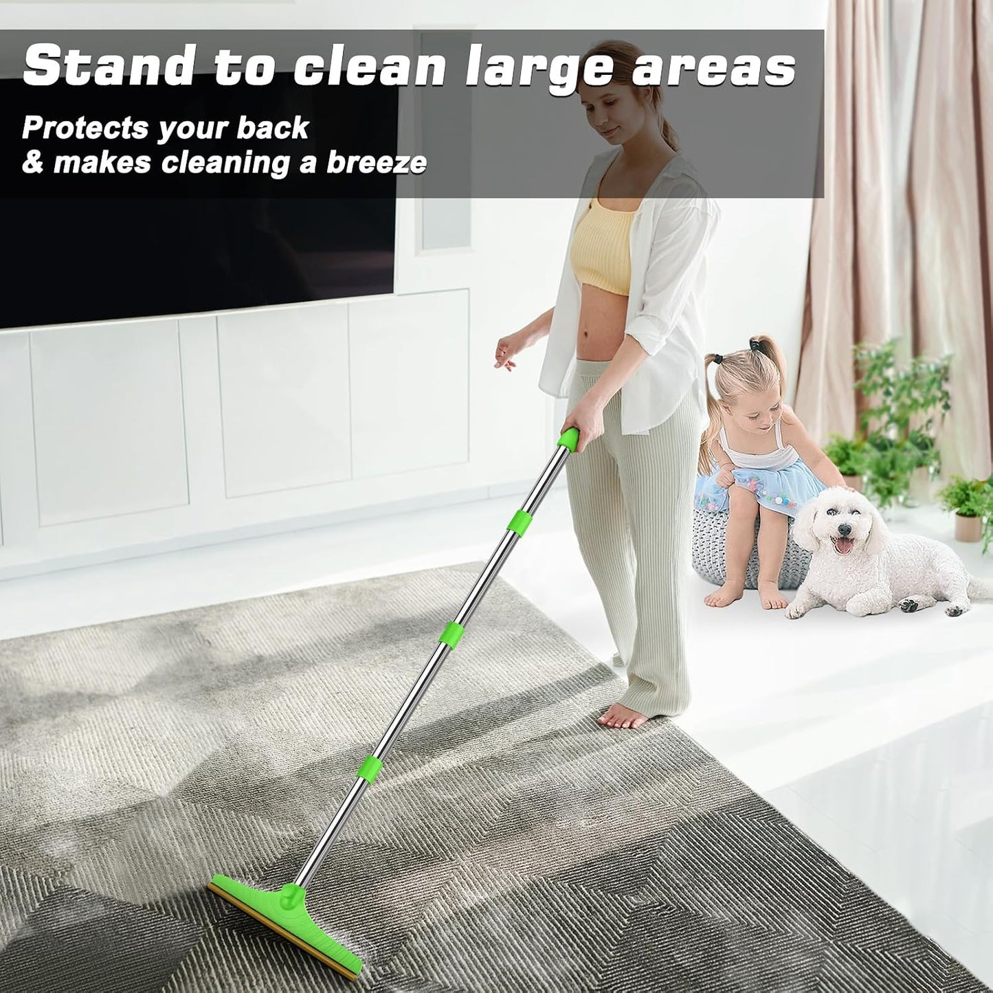 Carpet Rake for Pet Hair Removal, Reusable Carpet Scraper Broom