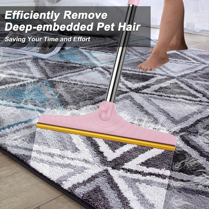 Carpet Rake for Pet Hair Removal, Reusable Carpet Scraper Broom
