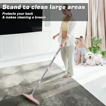 Carpet Rake for Pet Hair Removal, Reusable Carpet Scraper Broom