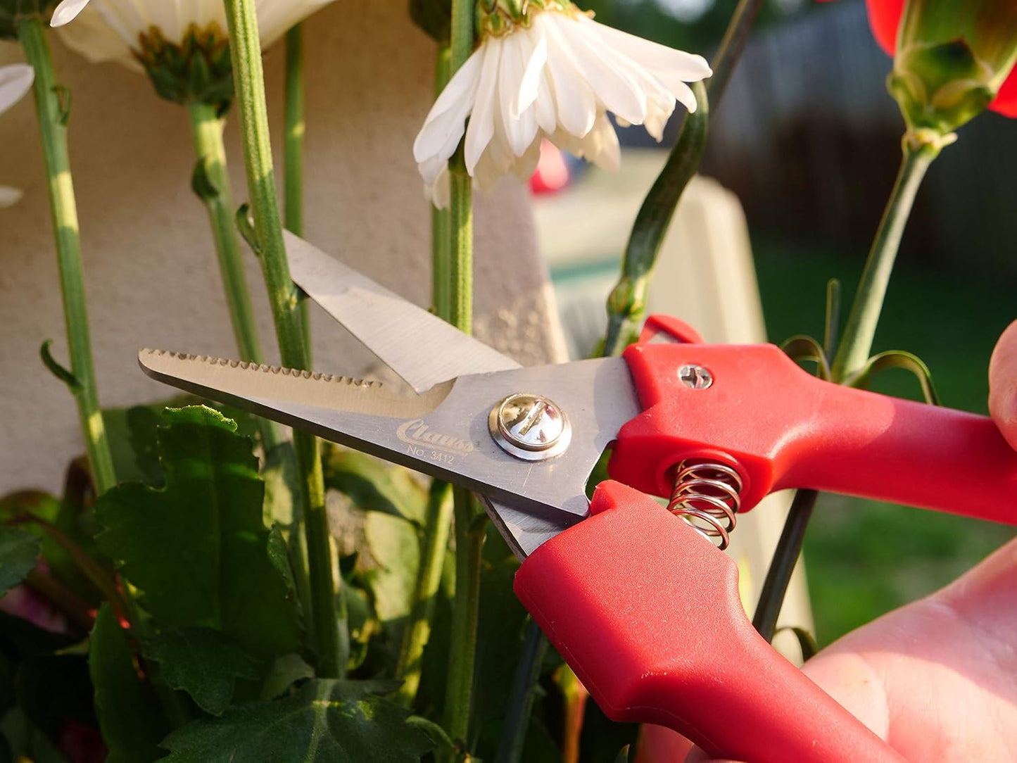 fixed blade Straight Floral Knives, Comes in a Box of 10