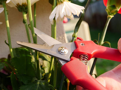 fixed blade Straight Floral Knives, Comes in a Box of 10