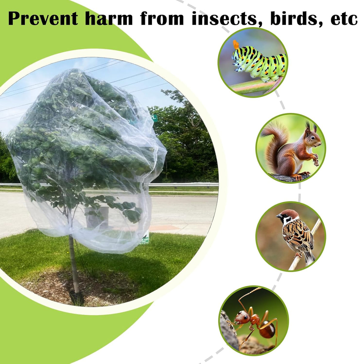 12'x12' Large Fruit Tree Netting with Zipper - Protects Fruit from Squirrels, Birds & Pests, Heavy-Duty Tree Covers for Fruit Trees (White)