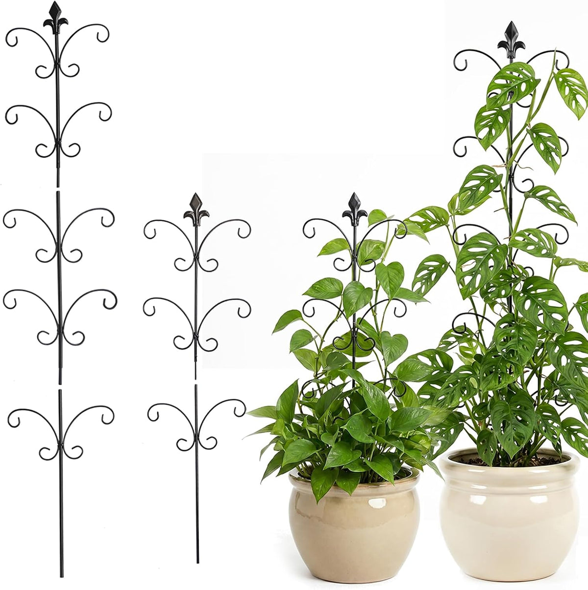 Metal Monstera Plant Support 2-Pack, Adjustable Height Steel Plant Trellis for Pothos, Vining & Climbing Potted Plants, Indoor & Outdoor, Sturdy Rotatable Plant Stakes with Rounded Ends, 31" & 46"