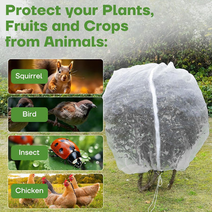 6FT x 6FT Fruit Tree Netting with Zipper and Drawcord, 2Pcs Garden Plant Net Pest Barrier Bag, Insect Bird Mesh Netting Cover for Protect Vegetables Flower Blueberry