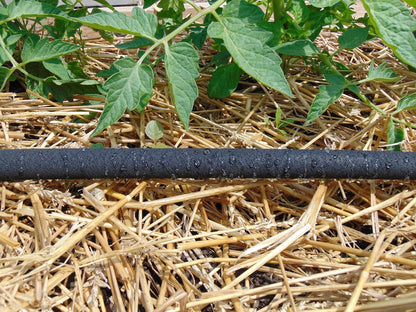 17010 ColorStorm Premium 50 Foot Soaker Garden Hose, Black