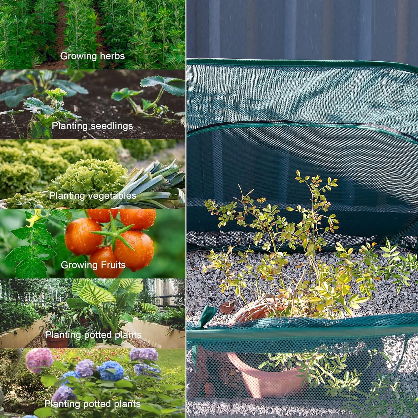 ANC POP Pop Up Mesh Plant Cover,40'' x 40'' x 30'' Plant Protector for Raised Garden & Flower Bed, Net Cage Plant Guard for Fruits, Vegetables, Seedlings and Herbs, 8 Ground Stakes for Fixing