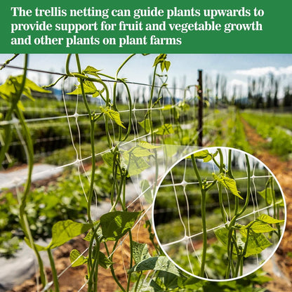 Trellis Netting for Climbing Plants - 5 x 15 ft Garden Net, 2 Pack