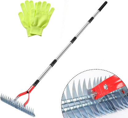 Thatch Rake, 15-Inch Wide dethatcher rake for Cleaning Dead Grass, Adjustable Dead Grass rake for Yard Lawn,thatch rakes for lawns with Stainless Steel Handle, Yard dethatcher rakes, 70-Inch Length.