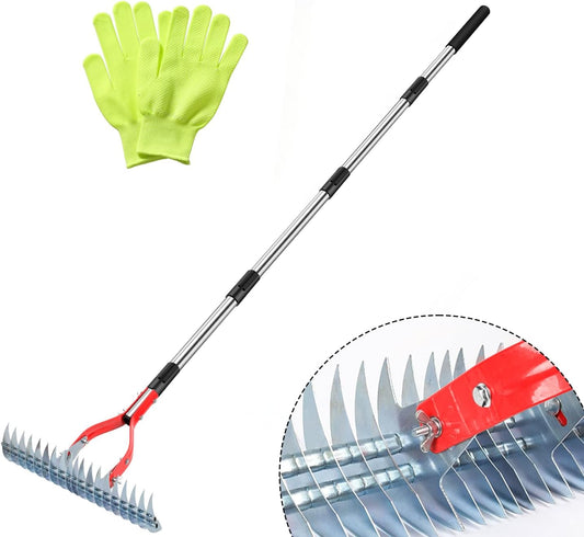 Thatch Rake, 15-Inch Wide dethatcher rake for Cleaning Dead Grass, Adjustable Dead Grass rake for Yard Lawn,thatch rakes for lawns with Stainless Steel Handle, Yard dethatcher rakes, 70-Inch Length.