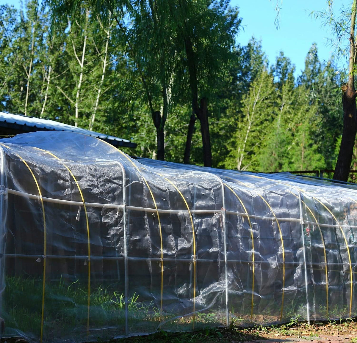 4'x6' Fruit Tree Netting with Zipper & Drawstring