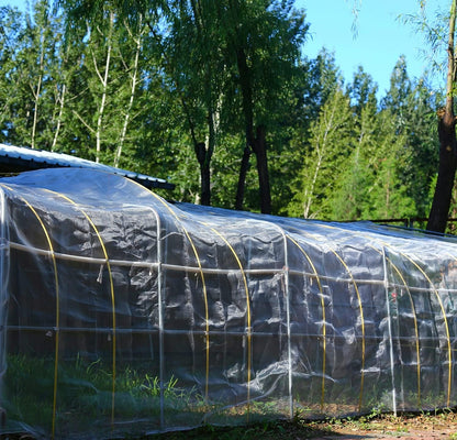 4'x6' Fruit Tree Netting with Zipper & Drawstring