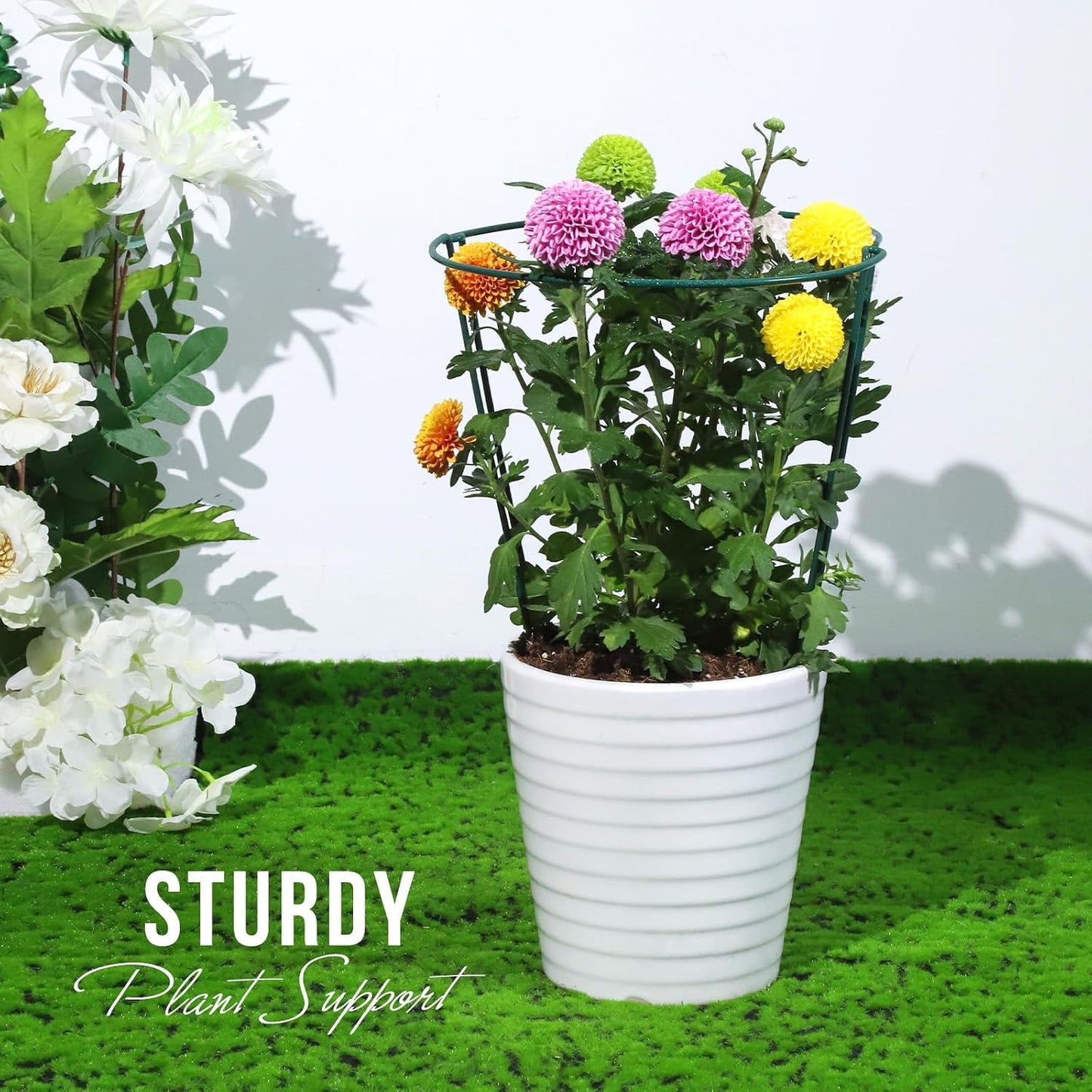 Plant Support, 8PCS Peony Cages and Supports, Plant Stakes for Indoor Plants, Outdoor Plants, Metal Garden Stakes, Plant Holders, Tomato Monstera Hydrangea Support Cage, 10" W x 15.8" H