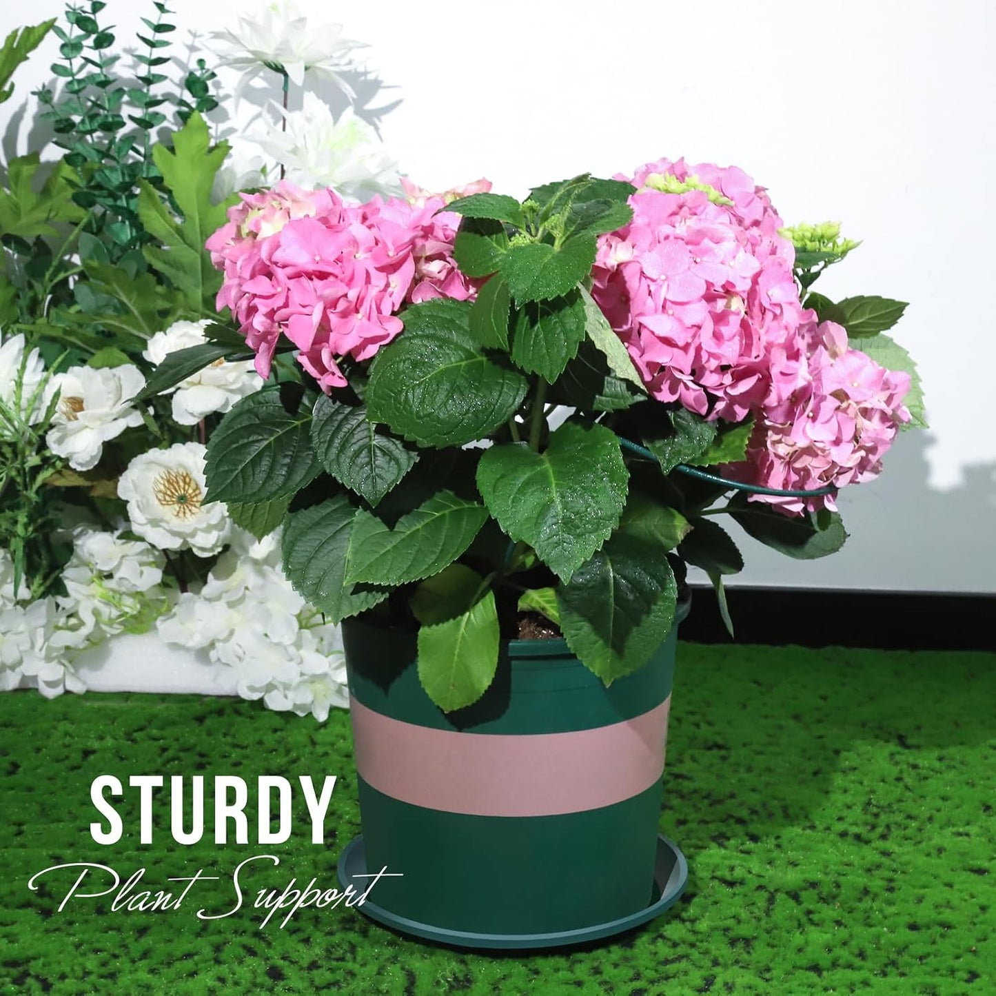 Plant Support, 8PCS Peony Cages and Supports, Plant Stakes for Indoor Plants, Outdoor Plants, Metal Garden Stakes, Plant Holders, Tomato Monstera Hydrangea Support Cage, 10" W x 15.8" H