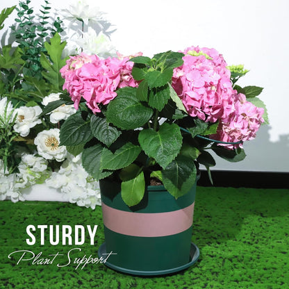 Plant Support, 8PCS Peony Cages and Supports, Plant Stakes for Indoor Plants, Outdoor Plants, Metal Garden Stakes, Plant Holders, Tomato Monstera Hydrangea Support Cage, 10" W x 15.8" H