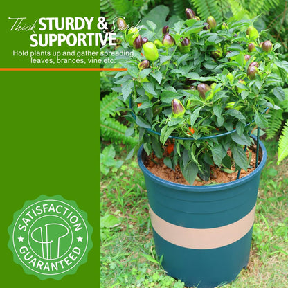 Plant Support, 8PCS Peony Cages and Supports, Plant Stakes for Indoor Plants, Outdoor Plants, Metal Garden Stakes, Plant Holders, Tomato Monstera Hydrangea Support Cage, 10" W x 15.8" H