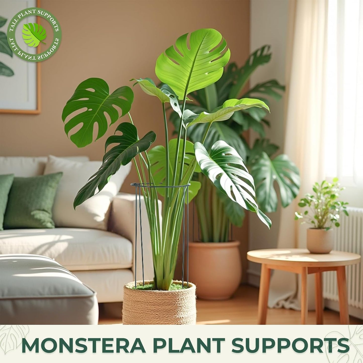 Plant Support, 8PCS Peony Cages and Supports, Plant Stakes for Indoor Plants, Outdoor Plants, Metal Garden Stakes, Plant Holders, Tomato Monstera Hydrangea Support Cage, 10" W x 15.8" H