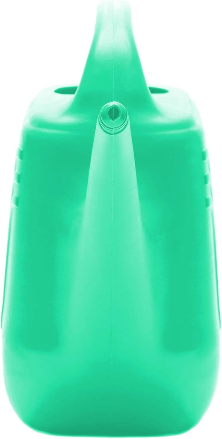 Classic 2 Gallon Plastic Watering Can - Indoor/Outdoor with 256 Fl Oz Capacity, Removable Nozzle, Mint Green