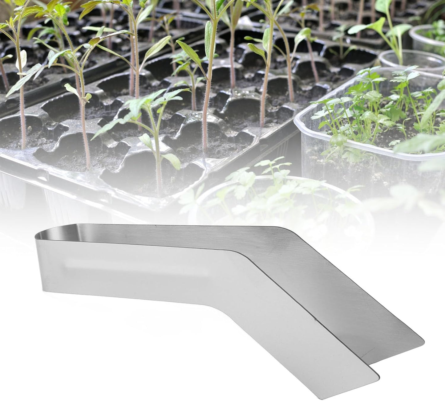 Seedling Transplant Tong Stainless Steel Gardening Tool Professional Plant Transplanting Plier for Reducing Root Damage Ideal for Gardeners and Plant Enthusiasts (53mm)