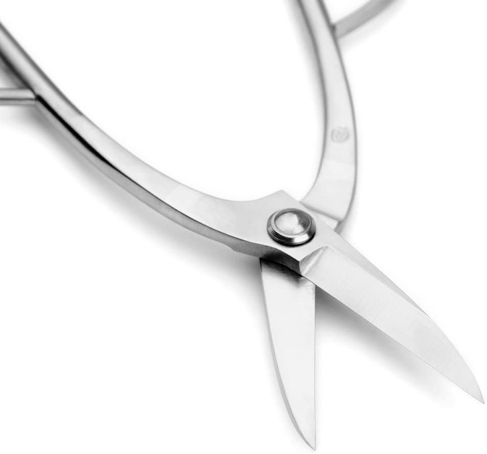 Ashinaga Bonsai Scissors Bonsai Tools (T 200 pruning scissors)