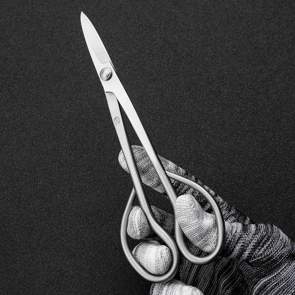 Ashinaga Bonsai Scissors Bonsai Tools (T 200 pruning scissors)