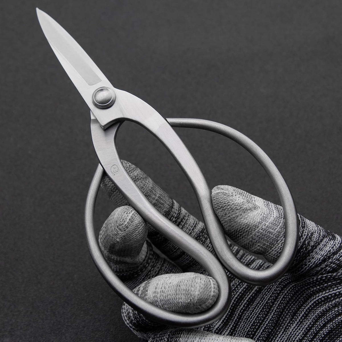 Ashinaga Bonsai Scissors Bonsai Tools (T 200 pruning scissors)