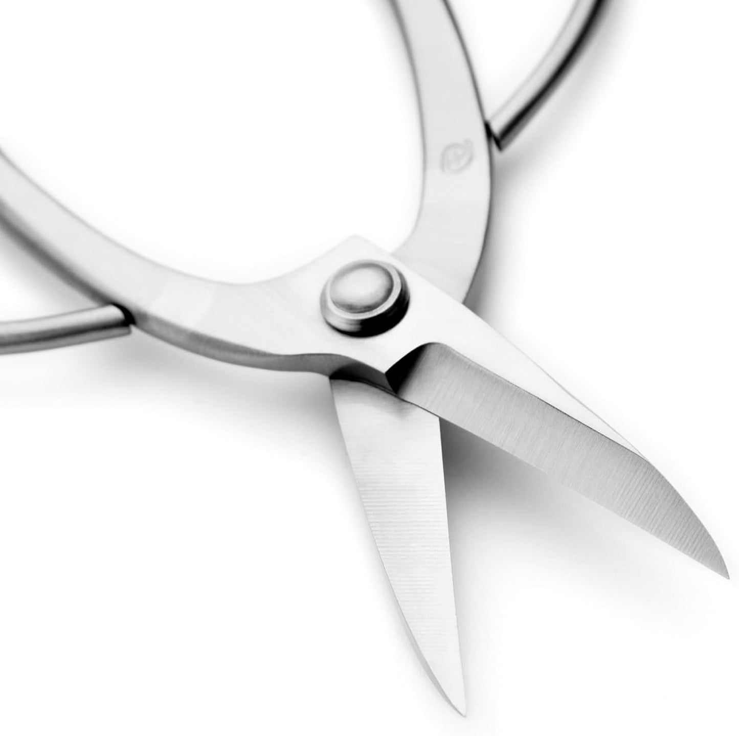 Ashinaga Bonsai Scissors Bonsai Tools (T 200 pruning scissors)