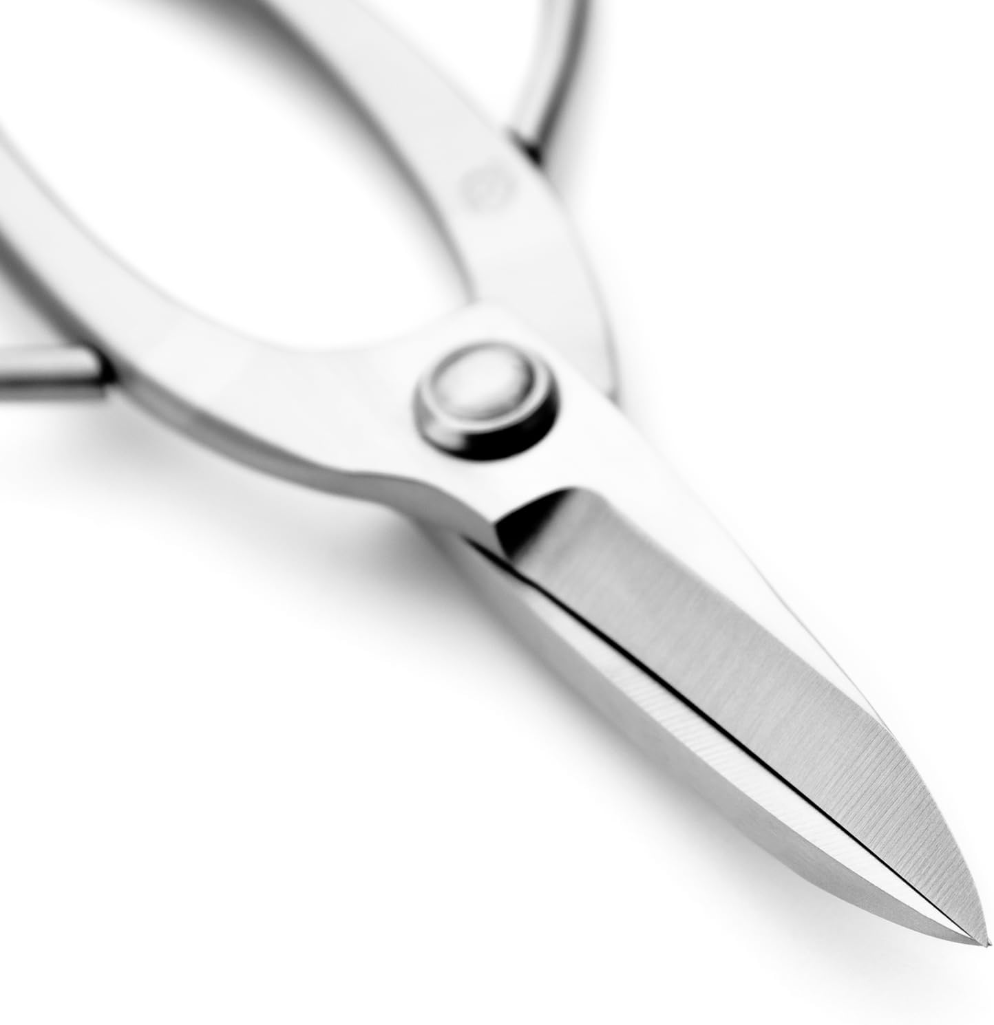 Ashinaga Bonsai Scissors Bonsai Tools (T 200 pruning scissors)