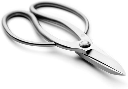 Ashinaga Bonsai Scissors Bonsai Tools (T 200 pruning scissors)