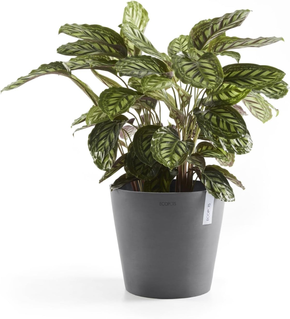 Amsterdam Round Flower Planter, Grey, 10"