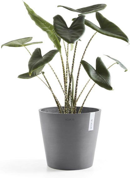 Amsterdam Round Flower Planter, Grey, 10"