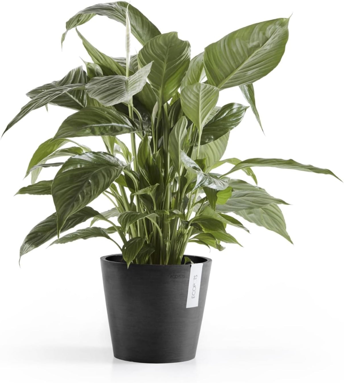 Amsterdam Round Flower Planter, Grey, 10"
