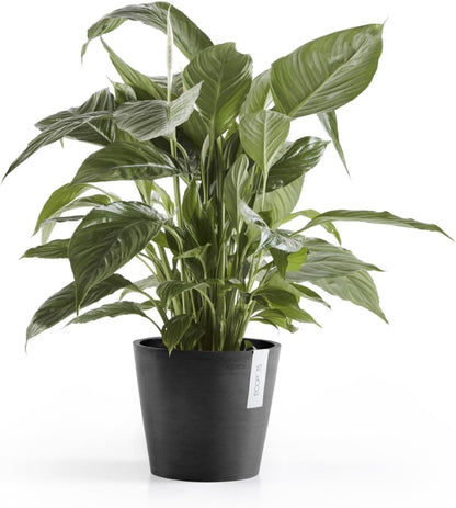 Amsterdam Round Flower Planter, Grey, 10"