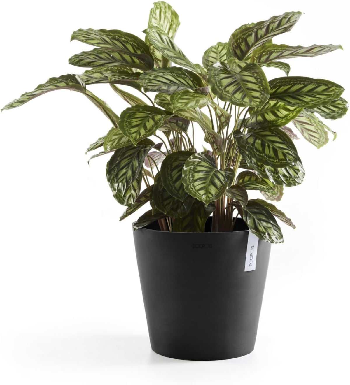 Amsterdam Round Flower Planter, Grey, 10"