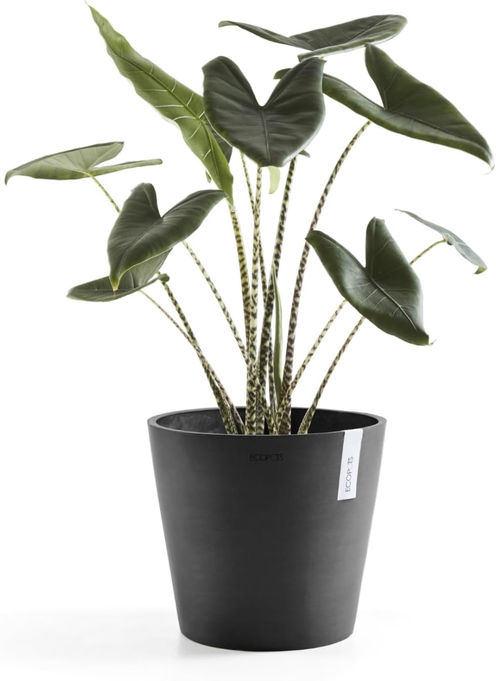 Amsterdam Round Flower Planter, Grey, 10"