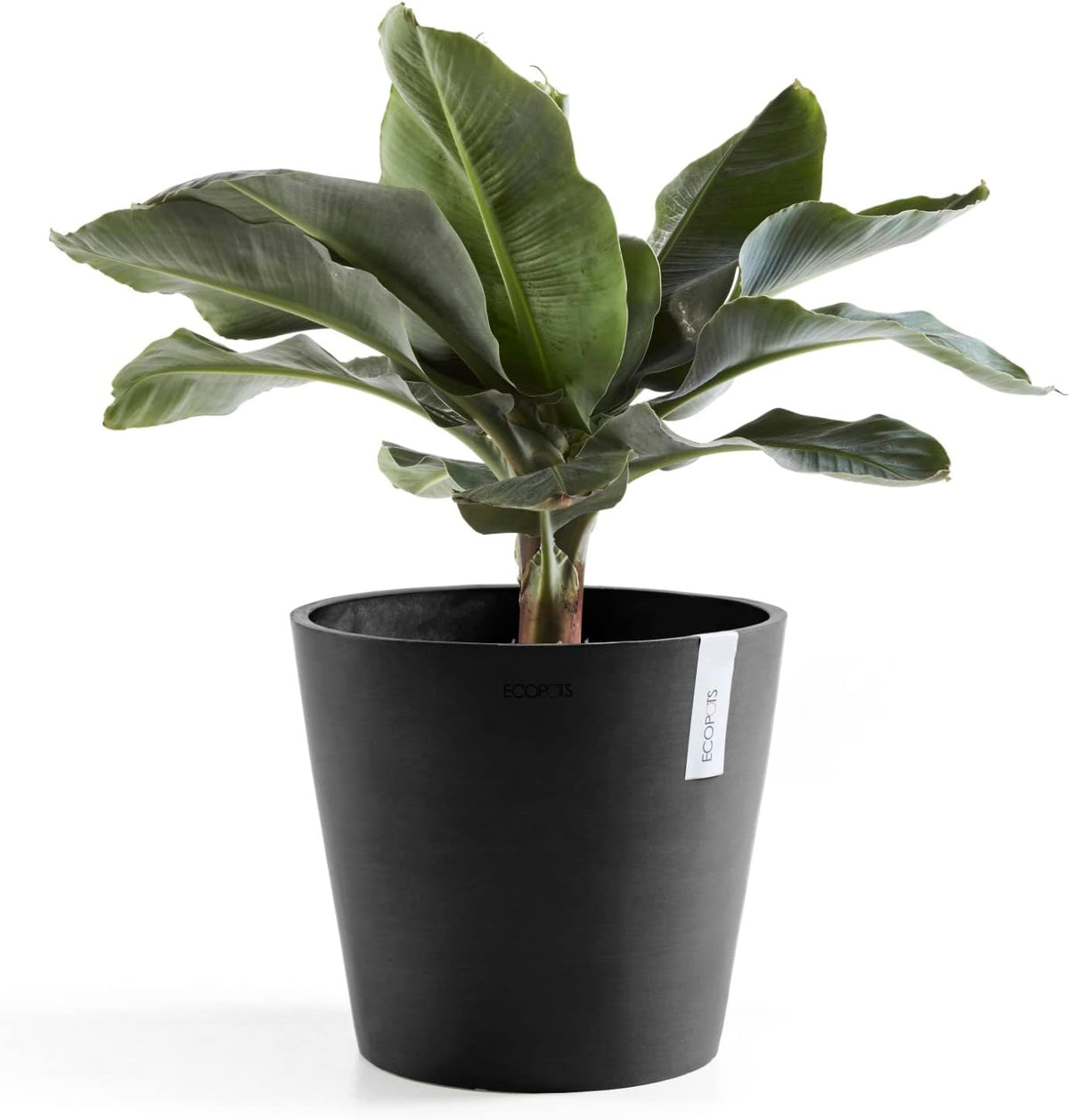 Amsterdam Round Flower Planter, Grey, 10"