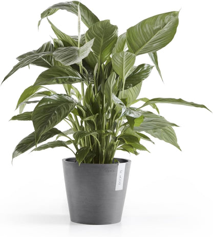 Amsterdam Round Flower Planter, Grey, 10"