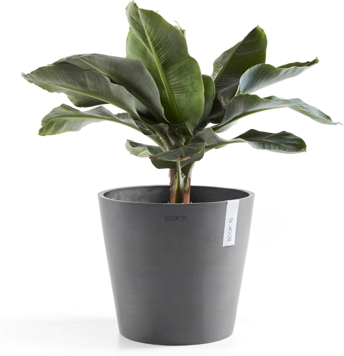 Amsterdam Round Flower Planter, Grey, 10"
