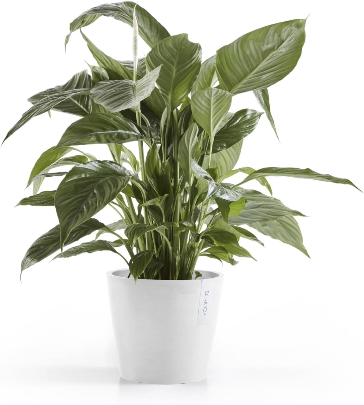 Amsterdam Round Flower Planter, Grey, 10"