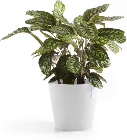 Amsterdam Round Flower Planter, Grey, 10"